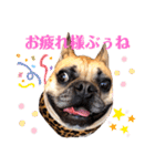 リルリル（個別スタンプ：15）