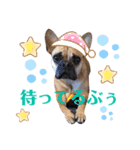 リルリル（個別スタンプ：17）