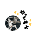 シマウマの日常②（個別スタンプ：1）