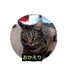 だーらだーら（個別スタンプ：3）