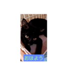 だーらだーら（個別スタンプ：4）