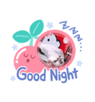 だーらだーら（個別スタンプ：5）