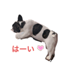 パンくんハウス5（個別スタンプ：3）