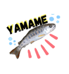 ☆Fish ＆ CAMP☆（個別スタンプ：2）