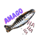 ☆Fish ＆ CAMP☆（個別スタンプ：4）