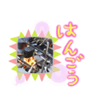 ☆Fish ＆ CAMP☆（個別スタンプ：6）