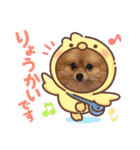犬♡実写 家族♡（個別スタンプ：11）