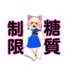 犬♡実写 家族♡（個別スタンプ：21）