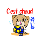 バレーボール犬 フランス語と日本語（個別スタンプ：36）