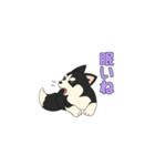 あすかハスキーくん（個別スタンプ：1）