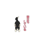 あすかハスキーくん（個別スタンプ：10）