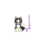あすかハスキーくん（個別スタンプ：13）
