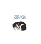 あすかハスキーくん（個別スタンプ：14）