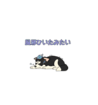あすかハスキーくん（個別スタンプ：15）