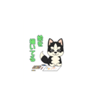 あすかハスキーくん（個別スタンプ：17）