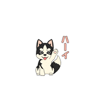 あすかハスキーくん（個別スタンプ：19）