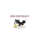 あすかハスキーくん（個別スタンプ：21）