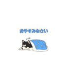 あすかハスキーくん（個別スタンプ：22）