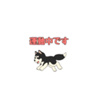 あすかハスキーくん（個別スタンプ：23）