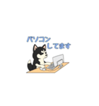 あすかハスキーくん（個別スタンプ：24）