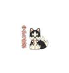 あすかハスキーくん（個別スタンプ：25）