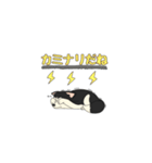 あすかハスキーくん（個別スタンプ：26）