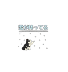 あすかハスキーくん（個別スタンプ：27）