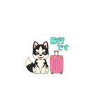 あすかハスキーくん（個別スタンプ：33）