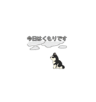 あすかハスキーくん（個別スタンプ：38）