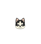 あすかハスキーくん（個別スタンプ：39）