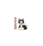 あすかハスキーくん（個別スタンプ：40）