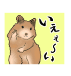 スタンプにある動物園（個別スタンプ：12）