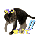 仔梨杞（個別スタンプ：7）