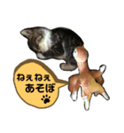 仔梨杞（個別スタンプ：9）