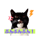 オコネコセシルの1日（個別スタンプ：2）