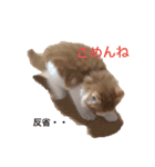メイくんがいっぱい（Baby期）（個別スタンプ：1）
