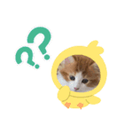 メイくんがいっぱい（Baby期）（個別スタンプ：3）