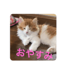 メイくんがいっぱい（Baby期）（個別スタンプ：4）