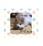 メイくんがいっぱい（Baby期）（個別スタンプ：9）