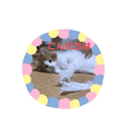 メイくんがいっぱい（Baby期）（個別スタンプ：15）