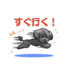 鎌倉のしんちゃん【2020】（個別スタンプ：7）