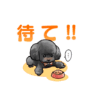 鎌倉のしんちゃん【2020】（個別スタンプ：8）