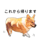 愉快なコーギー（個別スタンプ：14）