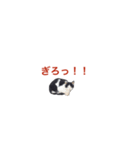 のどかな感じのスタンプ（個別スタンプ：6）