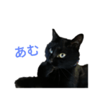 のののっち2（個別スタンプ：4）