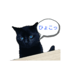 のののっち2（個別スタンプ：8）