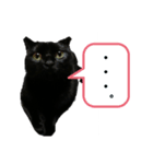 のののっち2（個別スタンプ：13）
