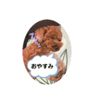 こったくんすたんぷ（個別スタンプ：3）