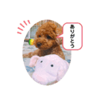 こったくんすたんぷ（個別スタンプ：4）