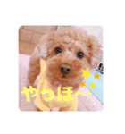 こったくんすたんぷ（個別スタンプ：6）